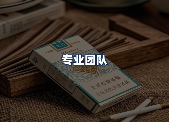 专业团队